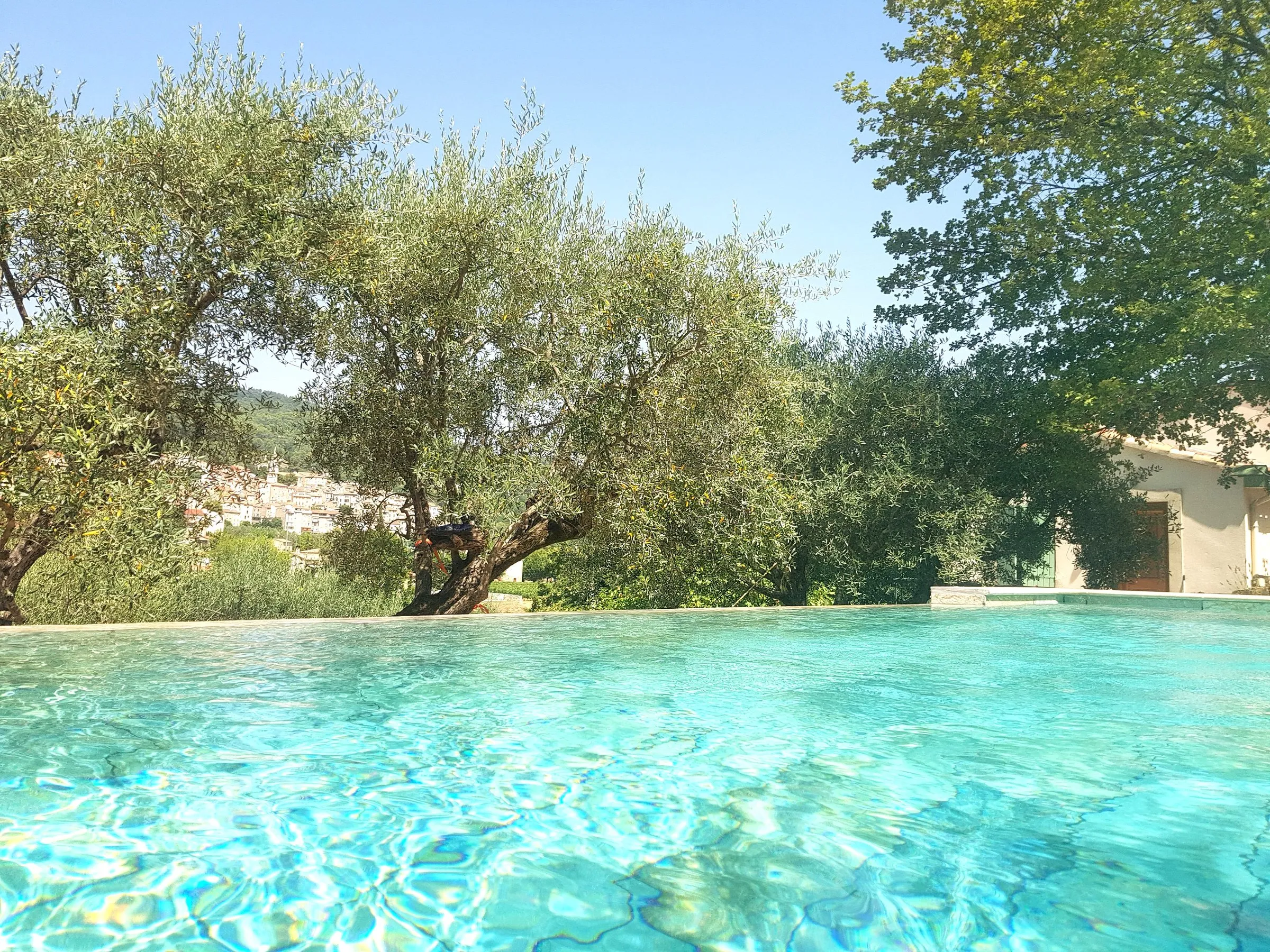 Turquoise water of the estate pool