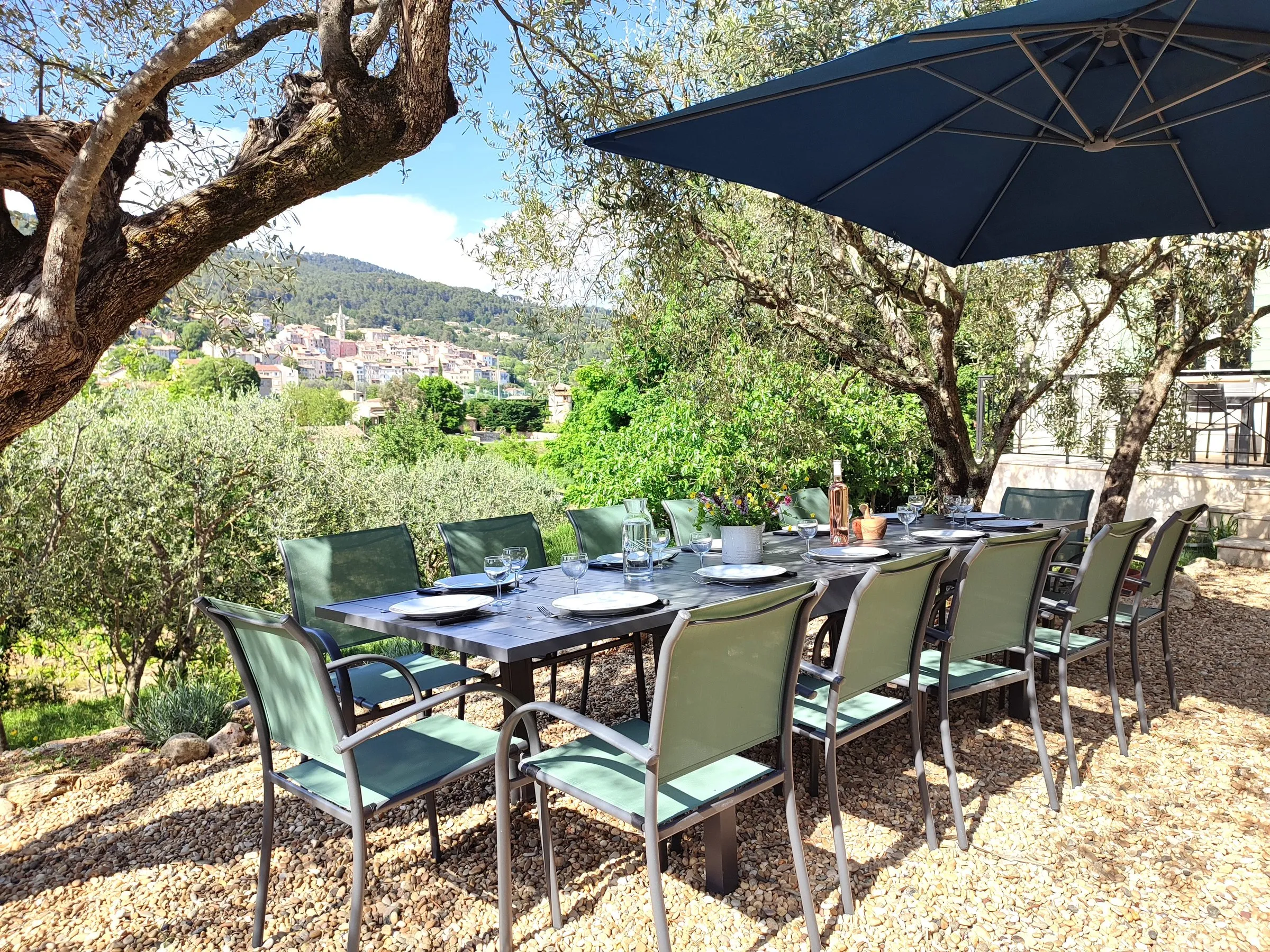 Long table laid beneath the olive trees