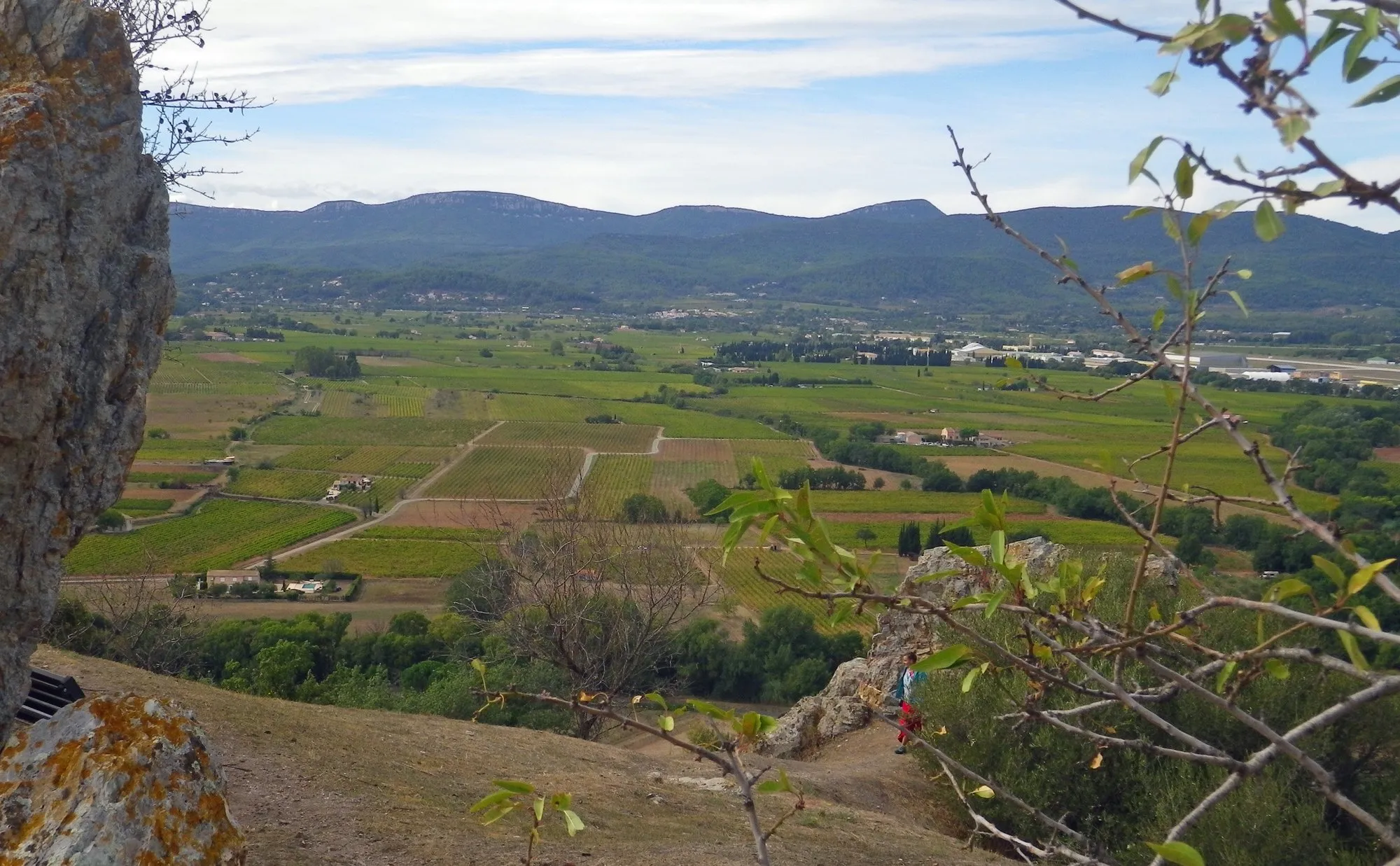 Rangées de vignes et bastide viticole en Côtes de Provence